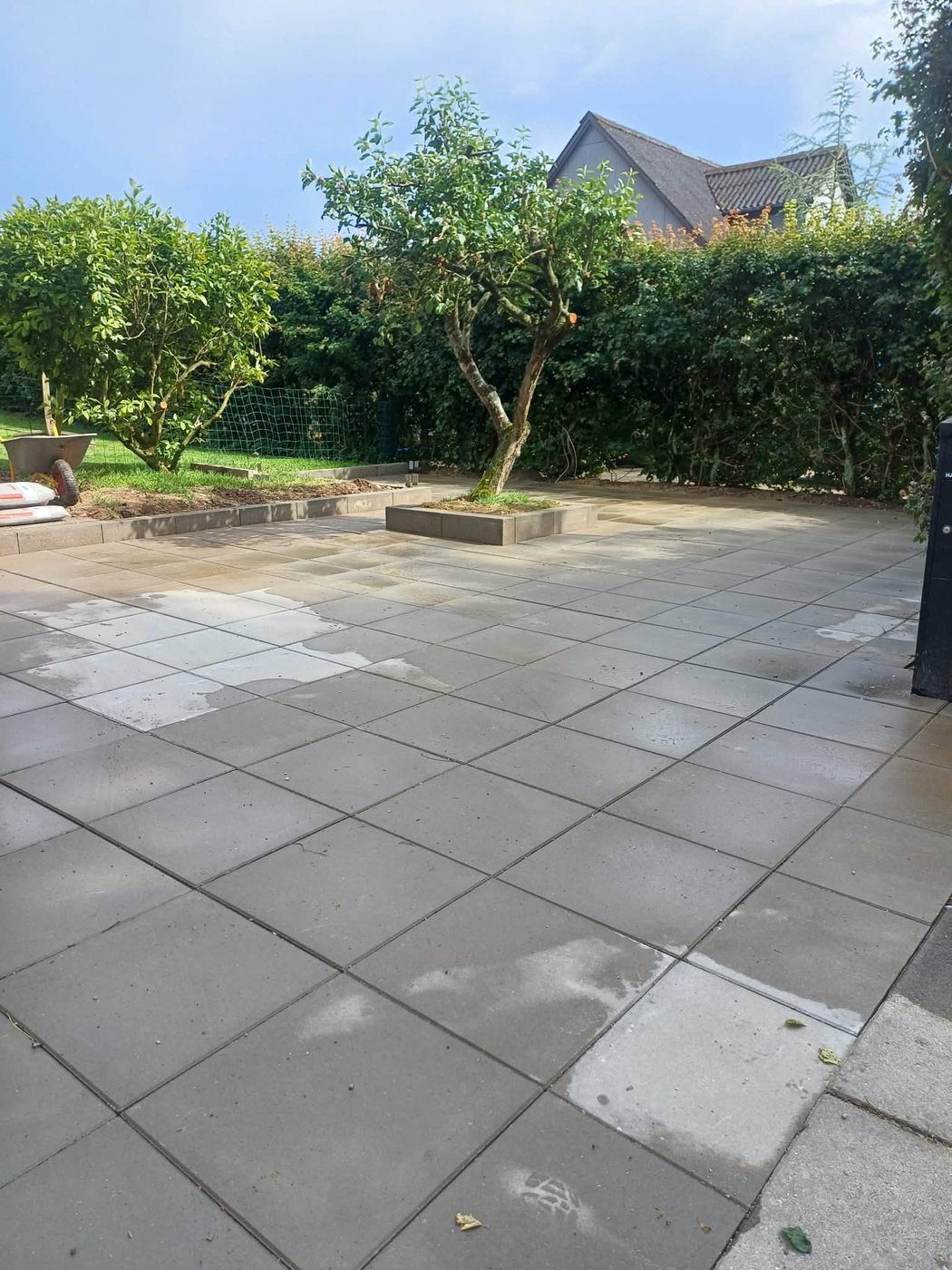 Flisebelagt udeareal med træ i hævet bed og kantsten